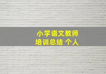 小学语文教师培训总结 个人